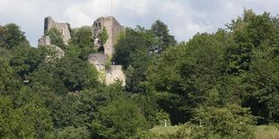 Burg Badenweiler